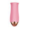 USB поручая розовый розовый вибрируя Massager яйца электрический лижа