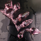 Мастурбация фаллоимитатора ночной жизни розовой стеклянной штепсельной вилки 3.5cm 4.2cm Кристл анальной женская